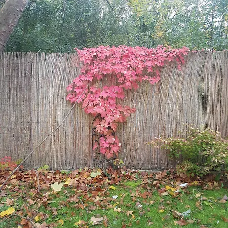 Ubytování v soukromí Into The Wild